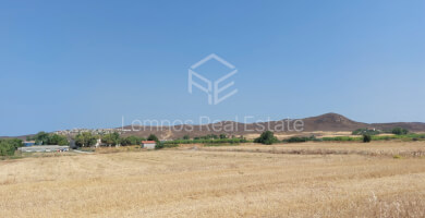 Land plot in Saravari Photo 