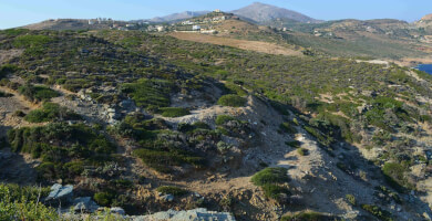 LAND PLOT 44.000 m² FOR SALE IN AGIA PELAGIA Photo 