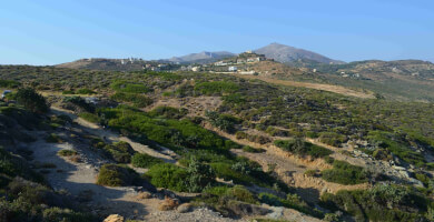LAND PLOT 44.000 m² FOR SALE IN AGIA PELAGIA Photo 